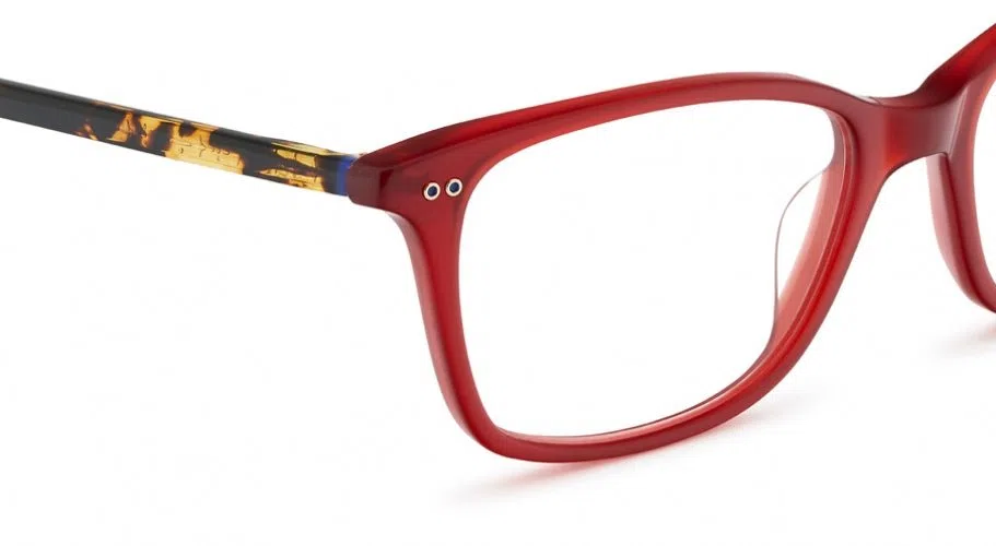 Etnia Barcelona Vintage ROSES Eyeglasses - view 7